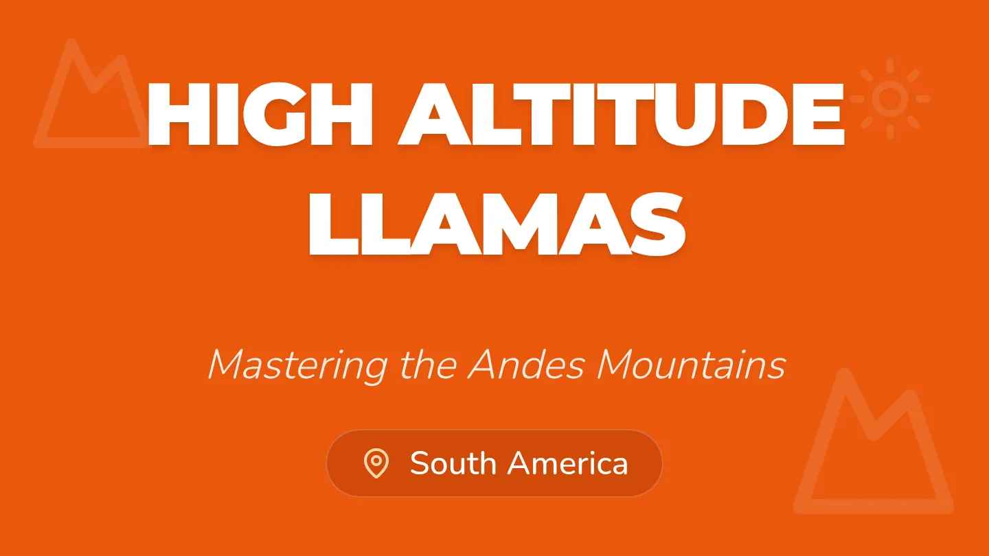 Llama Power Slides Final