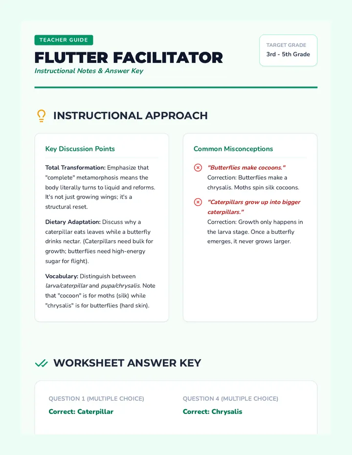 Flutter Facilitator Guide