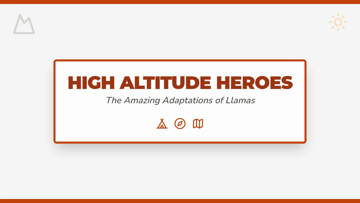 High Altitude Heroes Slides
