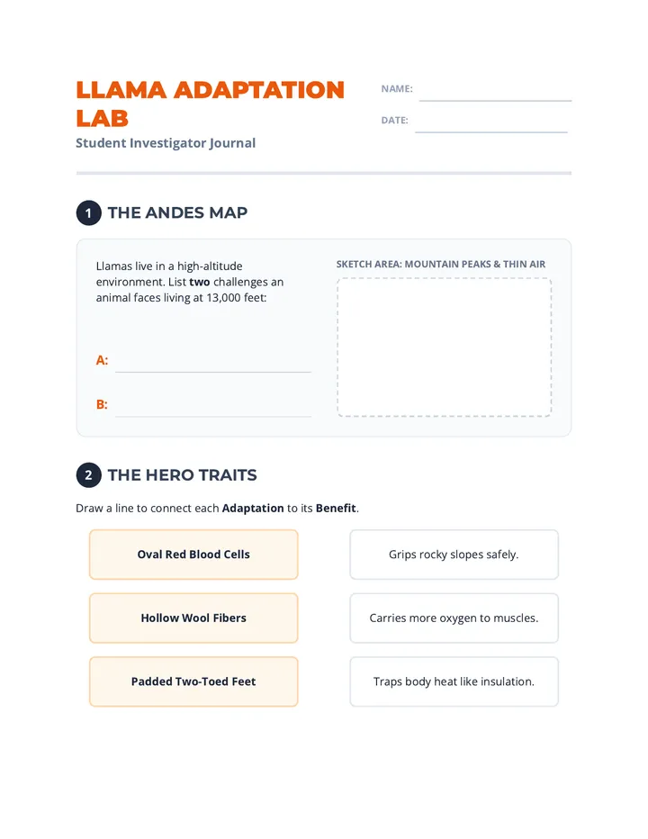 Llama Adaptation Lab Worksheet