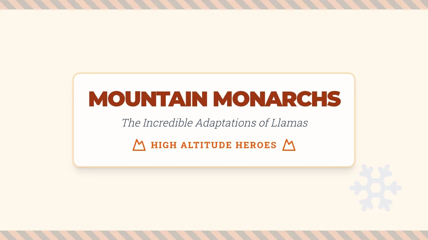 Mountain Monarchs Slides
