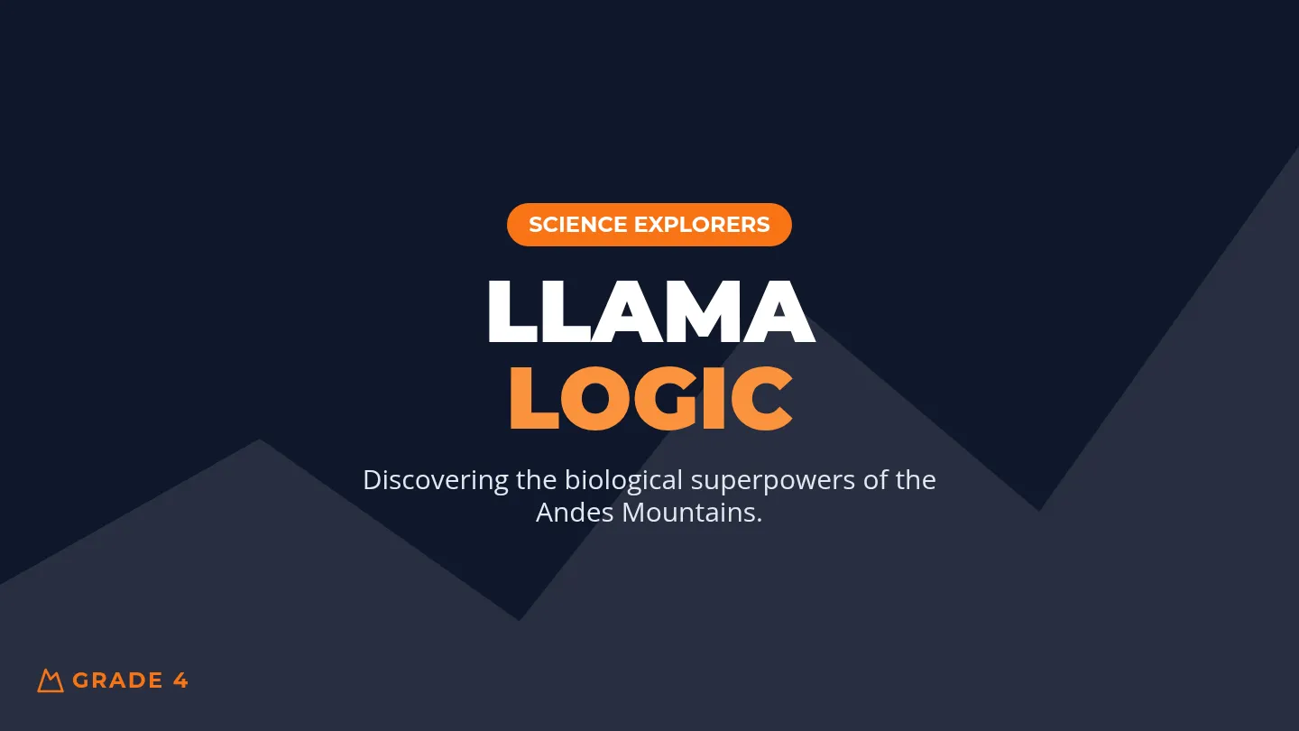 Llama Logic Slides