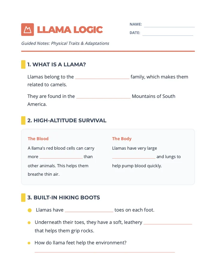 Llama Logic Notes Worksheet