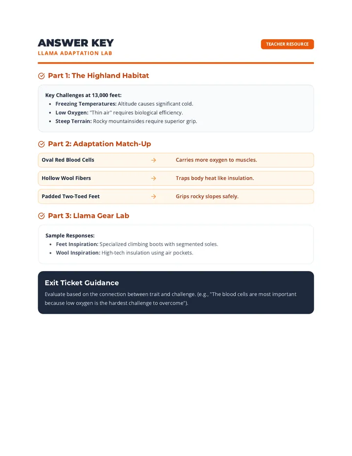 Llama Adaptation Lab Answer Key